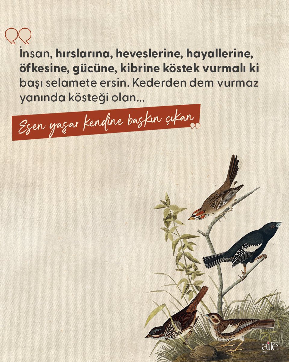 Gülşen Ünüvar'ın "Esen yaşar kendine baskın çıkar" yazısını eylül sayımızdan okuyabilirsiniz.