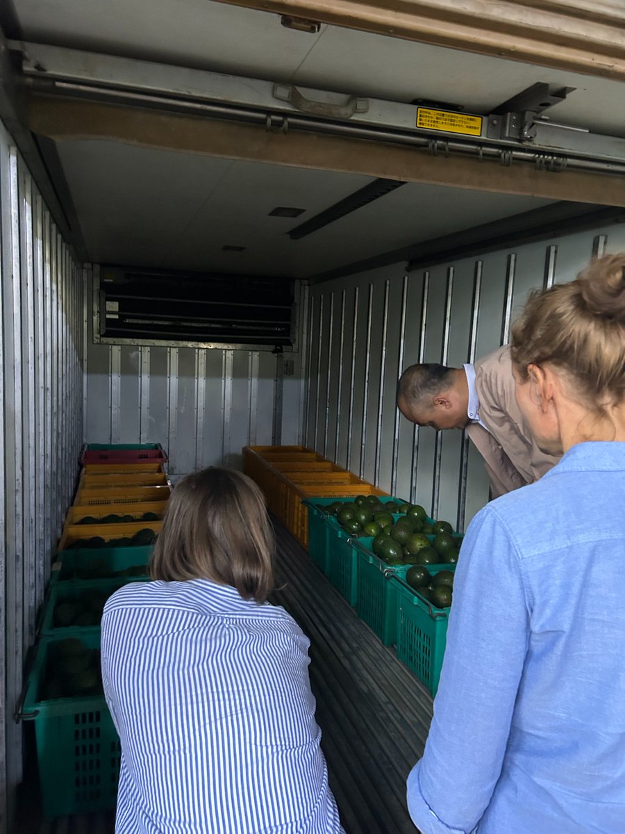 Visited Shan State, met a rice miller and an avocado farmer having received 🇩🇰🇨🇭🇪🇺support via #RBF+. Gained insights on price fluctuation and potential avocado exports and constraints. Despite hurdles, these farmers drive change, create jobs, boosting livelihoods &amp; markets.