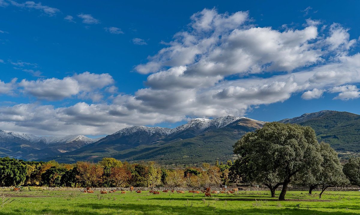 🍂 Existen pocos lugares como Extremadura para disfrutar del otoño.
De la berrea más natural y salvaje, de la dehesa repleta de bellotas anunciando la montañera, de paisajes que se tiñen de tonos únicos…
De la naturaleza viva en estado puro.

Un patrimonio que debemos cuidar y