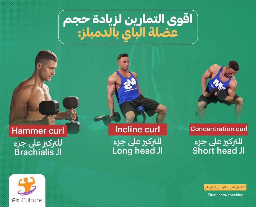 Fitcul.com/coaching-egy