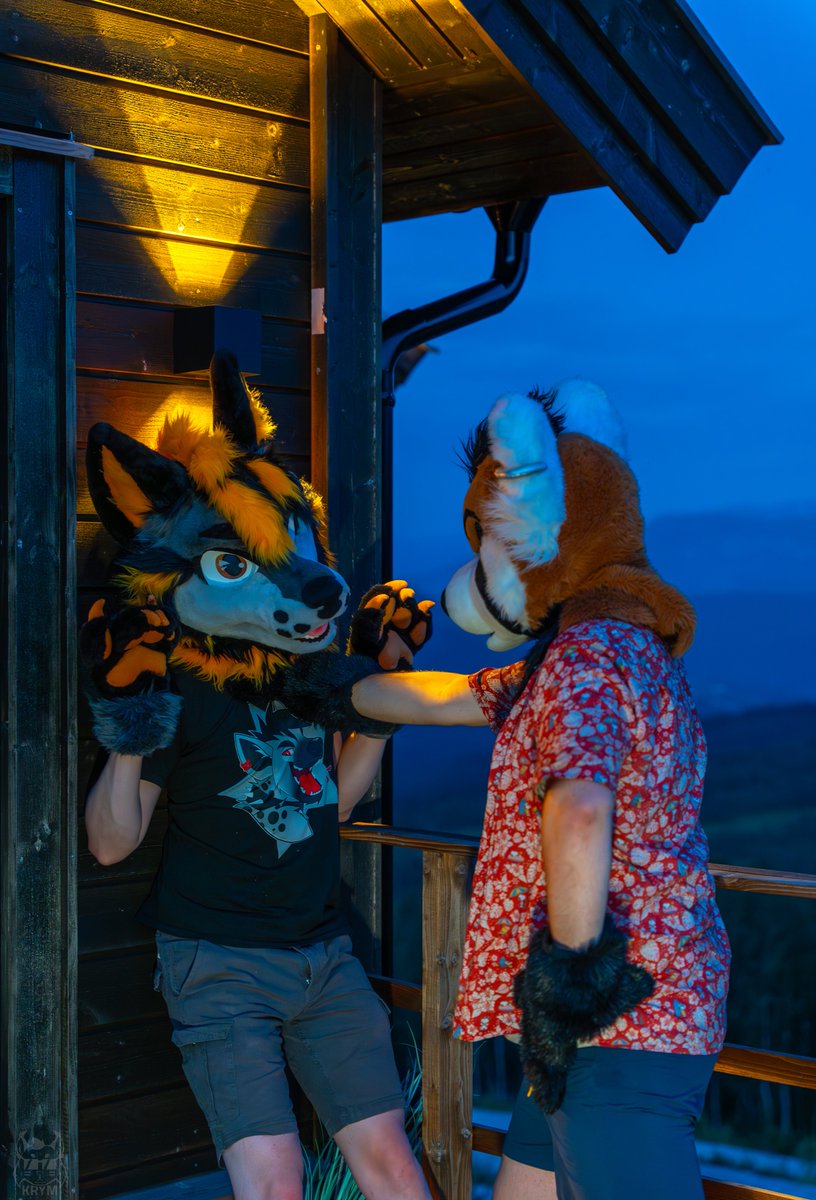 The discussion got a little heated😅

📸: <a href="/Krymson_K/">Krym🐾</a>