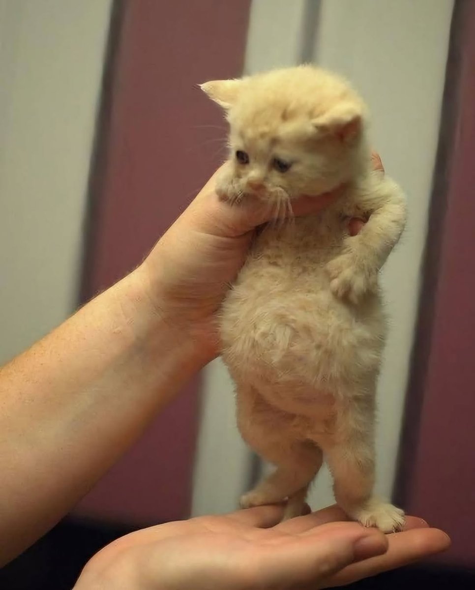 ミルクたっぷりのお腹