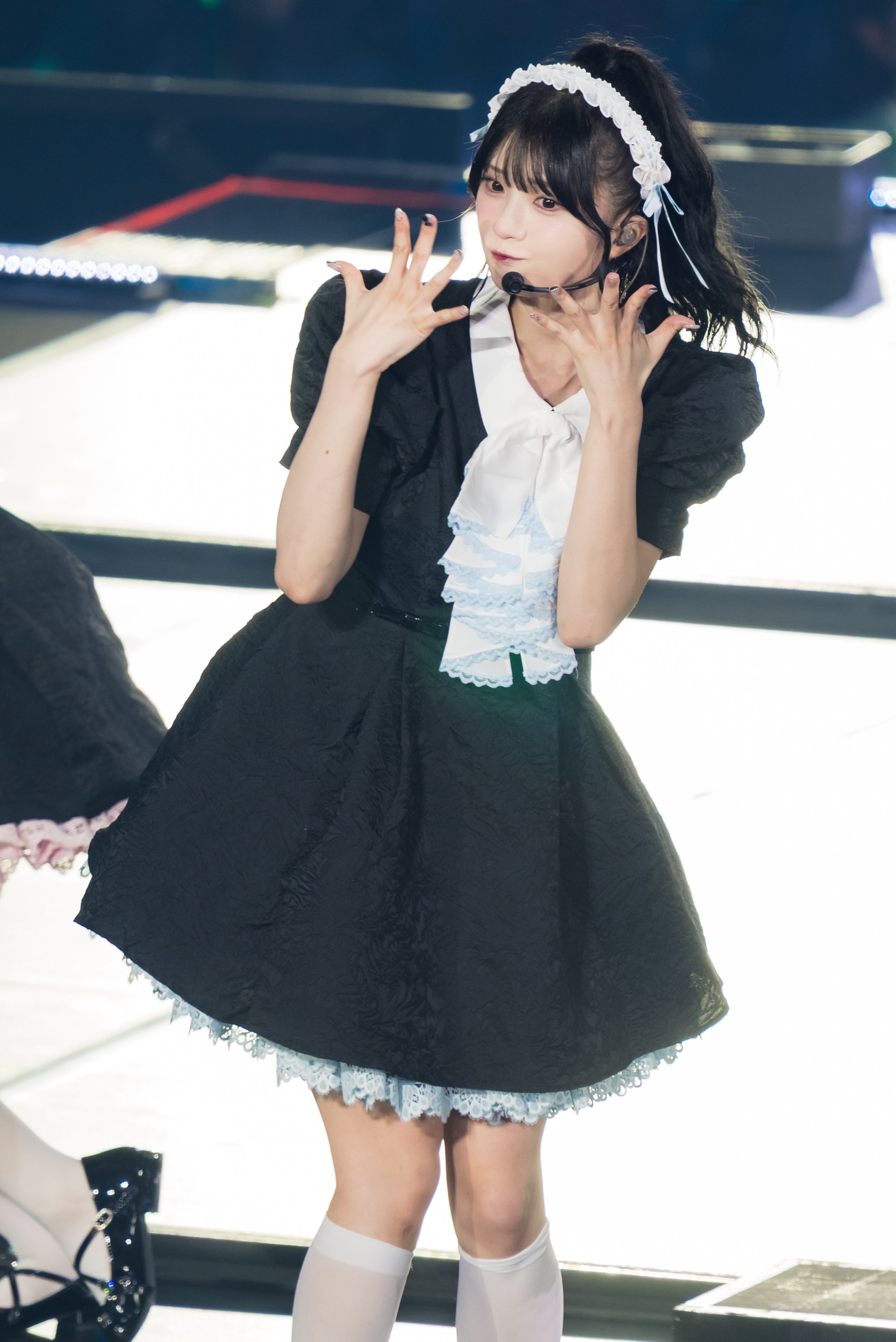 わんこっち　菅波美玲 菅波 美玲 on X: 