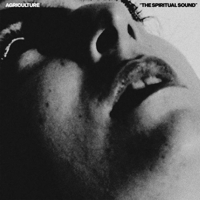 KMANRIFFSMetal's tweet photo. FULL FORCE FRIDAY:🆕October 3rd 1⃣9⃣🎧

AGRICULTURE - The Spiritual Sound 🇺🇸💠

2nd album from L.A, CA, U.S Ecstatic Black Metal outfit💠

BC➡️https://t.co/ALtrjV3JLq💠

#Agriculture #TheSpiritualSound #EcstaticBlackMetal #FFFOct3 #KMäN https://t.co/Hs6D6cNqKd
