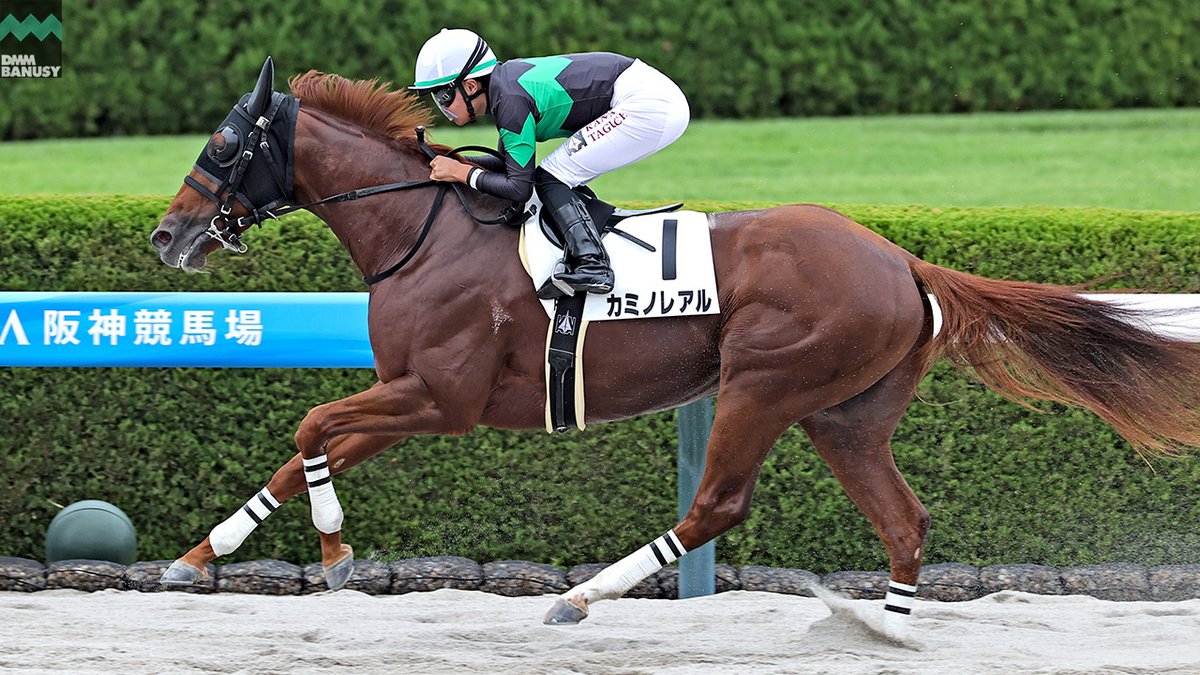 世界名馬ファイル バイアリータークからラムタラまで 3大始祖と世界の血統：サラブレッド講座 JRA