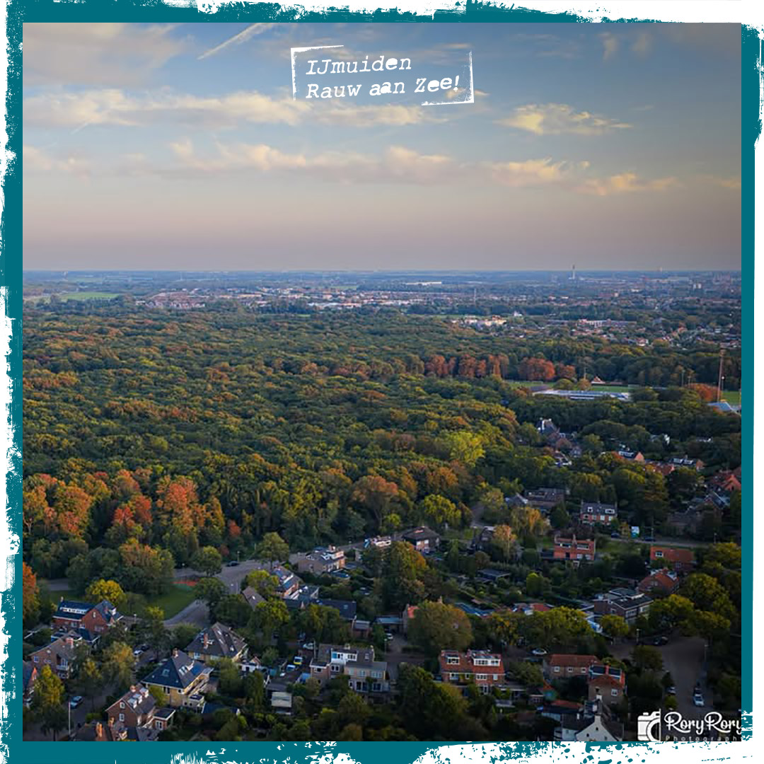 Langzaamaan beginnen onze groene buitenplaatsen weer hun herfstkleuren te krijgen. De herfst is een heerlijke tijd voor een kleurrijke boswandeling.

ijmuiden.nl/wandelen-in-ve…

Foto: RoryRoryphotography