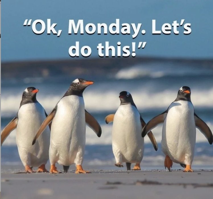 Good morning all 🥰 I know it’s Monday again but we can handle it 👊