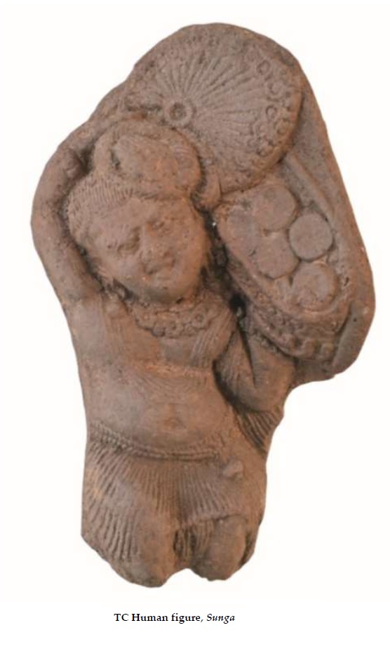 Indian Journal Of Archaeology tweet media