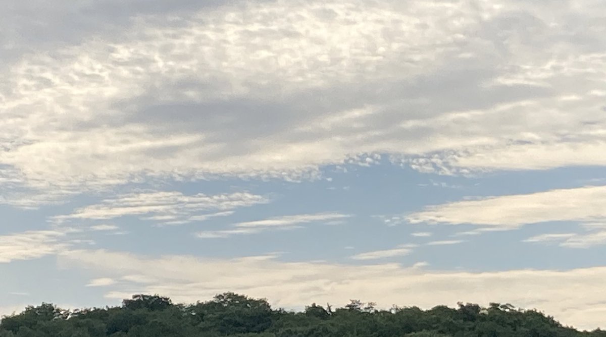 生きるとは、
他人ではなく、自分を訳し続けること

沈黙を今日の言葉に置き換え、
記憶は水色に、
孤独は青に、
希望はまだ名のない白に

カフェの湯気の中で、
深夜の机の上で――

私は自分を壊し、また組み替える
人に示すためではなく、
今日を明日へ手渡すために

その作業こそ、生きること