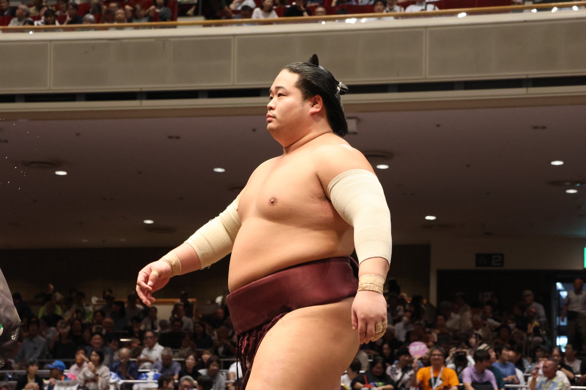 油絵　相撲　SUMO ヴィンテージ 油絵 相撲 SUMO ヴィンテージ 相撲力士/SUMO Wrestler (ed:1/200