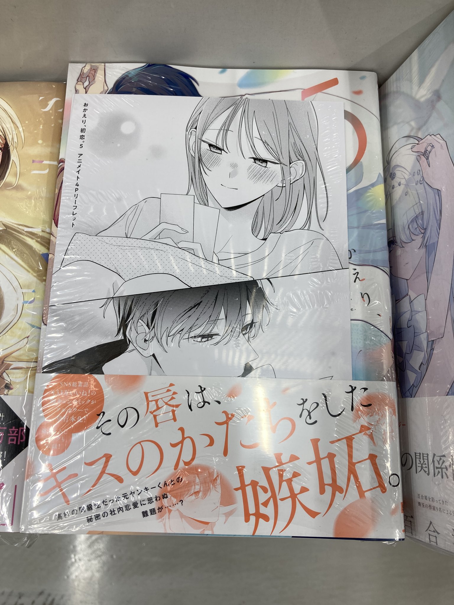 おかえり、初恋。(3) アニメイト限定セットPremium　リーフレット付 おかえり、初恋。(3) アニメイト限定セットPremium リーフレット