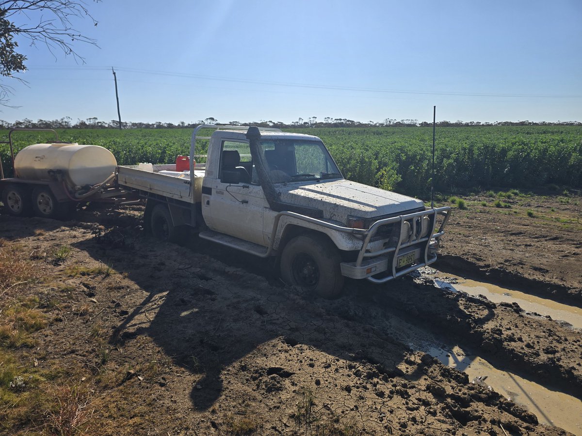 On today's episode of what the fuck were u thinking🙄 on the plus side i can have a good gander at the beans while waiting 4 a tow