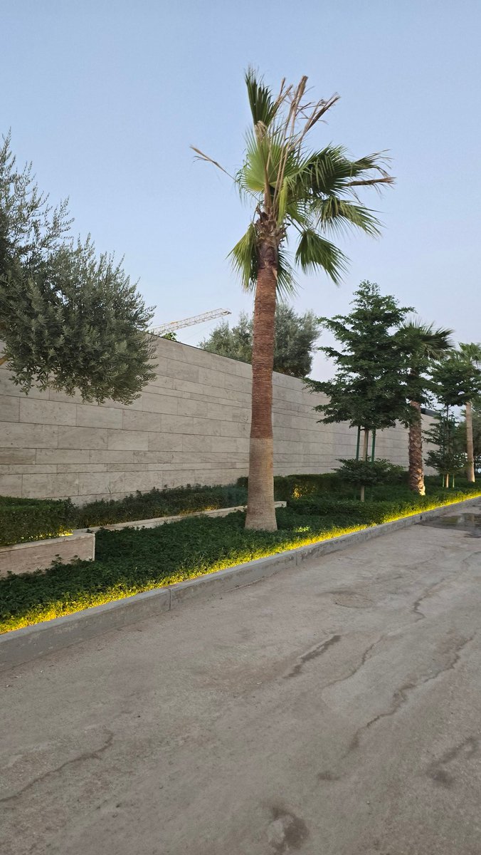 Good afternoon guys 

Have a beautiful day with green and sunny 🌞