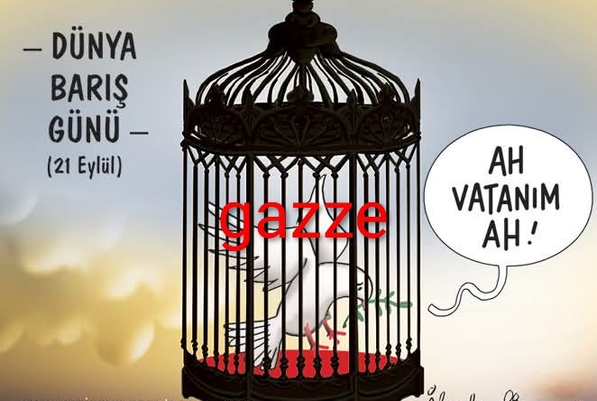 soncagri1's tweet photo. Kafeslenen Dünya #GazzeÖlüyor https://t.co/GhHtGfDoDf