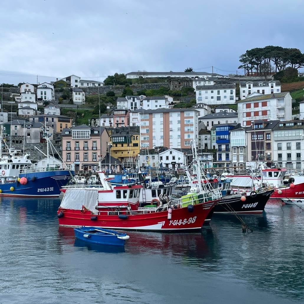 🐟 <a href="/MRuralAsturias/">Consejería Medio Rural y Política Agraria</a> impulsa su flota pesquera y concede 254.268 euros en ayudas #Fempa para modernizar embarcaciones y fomentar el relevo generacional a 31 armadores y pescadores asturianos.

ℹ️ Más información en el <a href="/BOPAstur/">BOPA</a> 👇🏼

miprincipado.asturias.es/bopa/2025/09/2…

<a href="/GobAsturias/">Principado de Asturias</a>