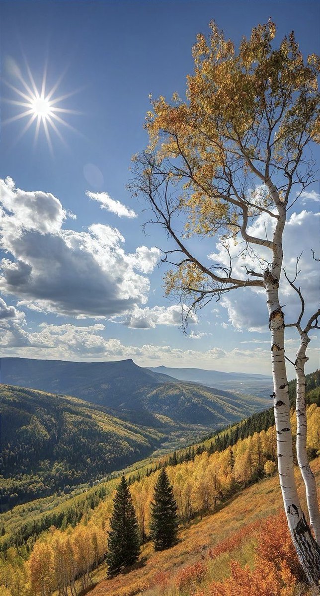 Good morning my dear friends! Happy autumn! 🍂