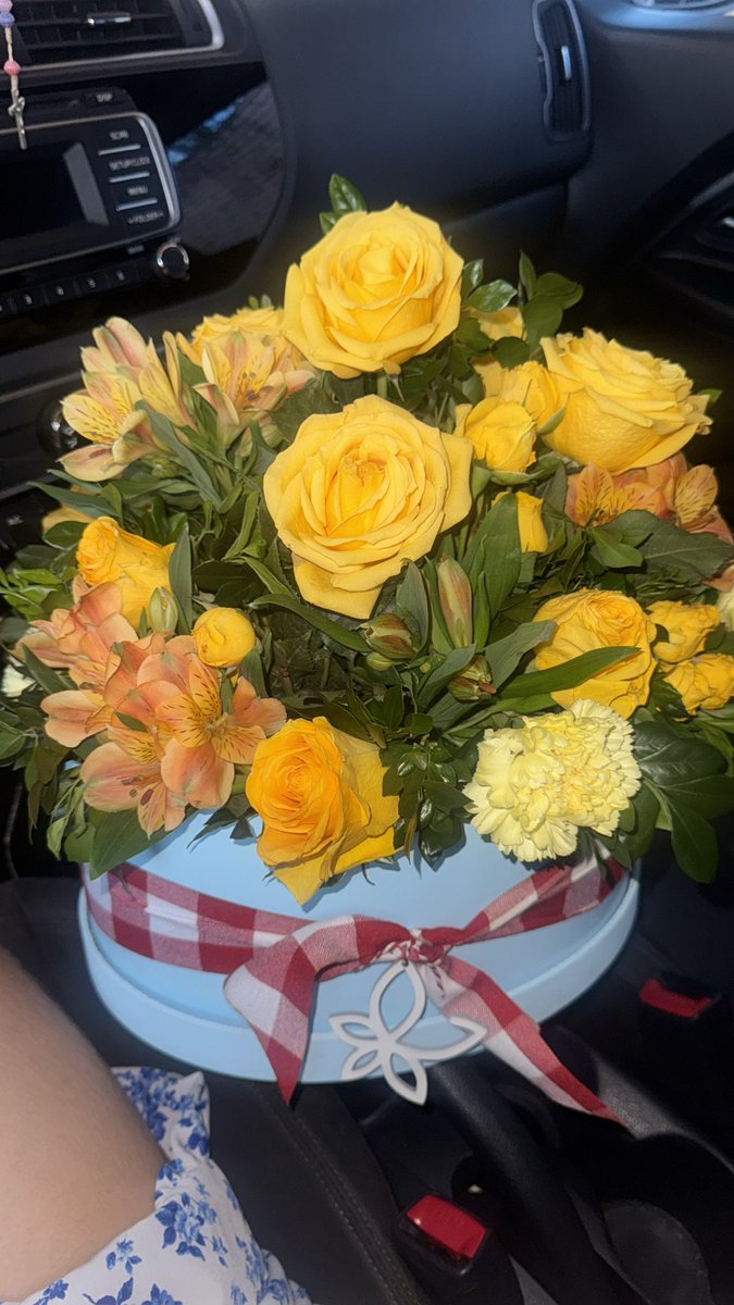 sofiasimonf's tweet image. 21 💛💛💛💛💛💛💛