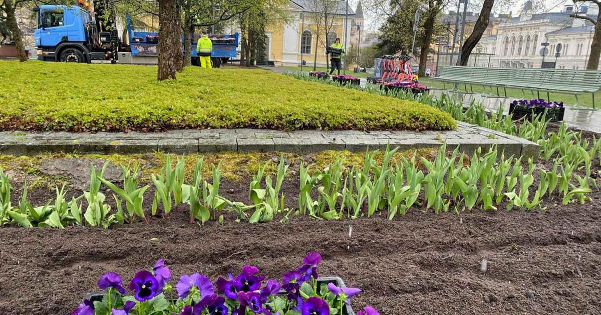 Arvioi puistojen ja väylien kesäkunnossapitoa ja vastaa kyselyyn dlvr.it/TNCmxN #Tampere