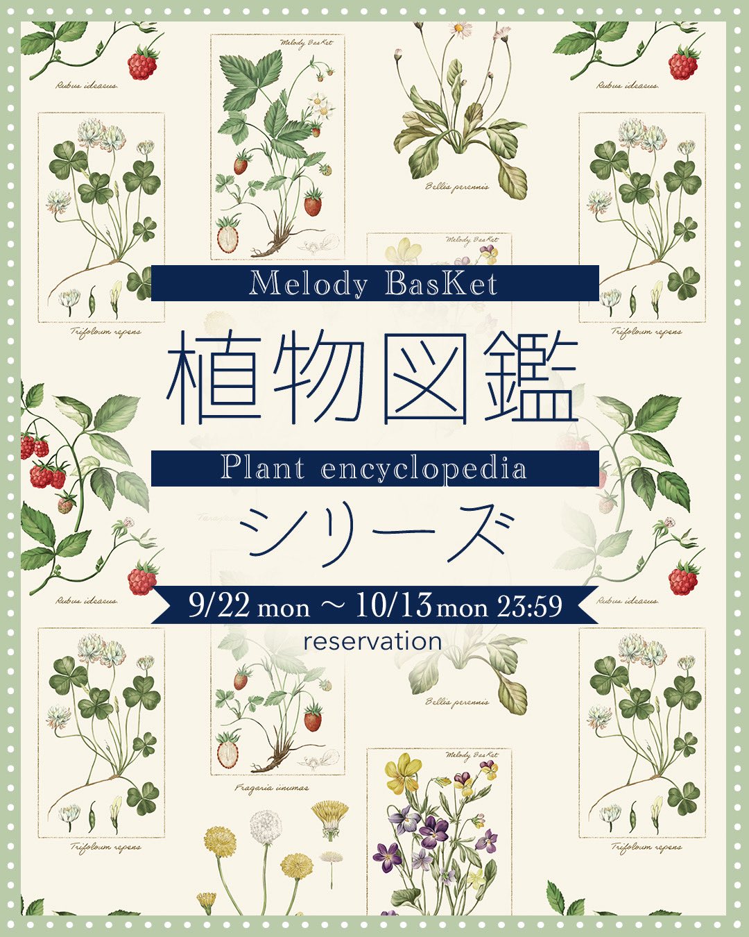 Melody Basket 24SS 植物図鑑スカート F ミント メロバス Melody Basket 24SS 植物図鑑スカート F ミント メロバス Melody