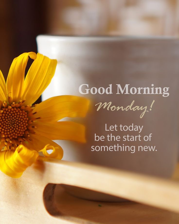 Happy Monday everyone 😀 Hope you all have an awesome week