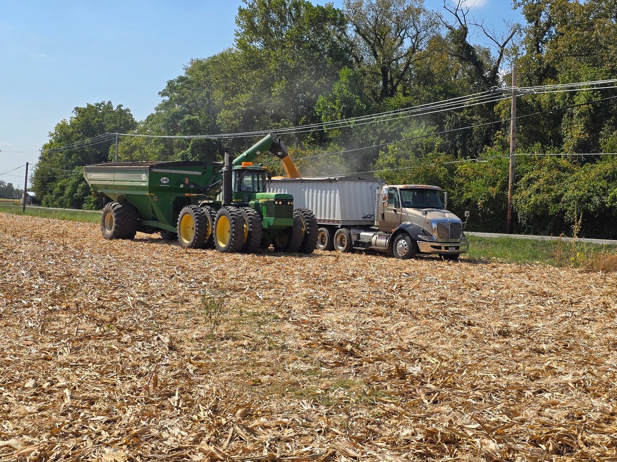 SunriseCoopOH's tweet image. Harvest is officially here! Last week two of our #PCTSunrise #plots came off. @BrevantseedsUS and #Xitavo yielding well for #harvest2025. 

#BioBuild #biostimulants #BioTrac-L #SunriseCooperative #cropnutrition #OhioAgriculture
