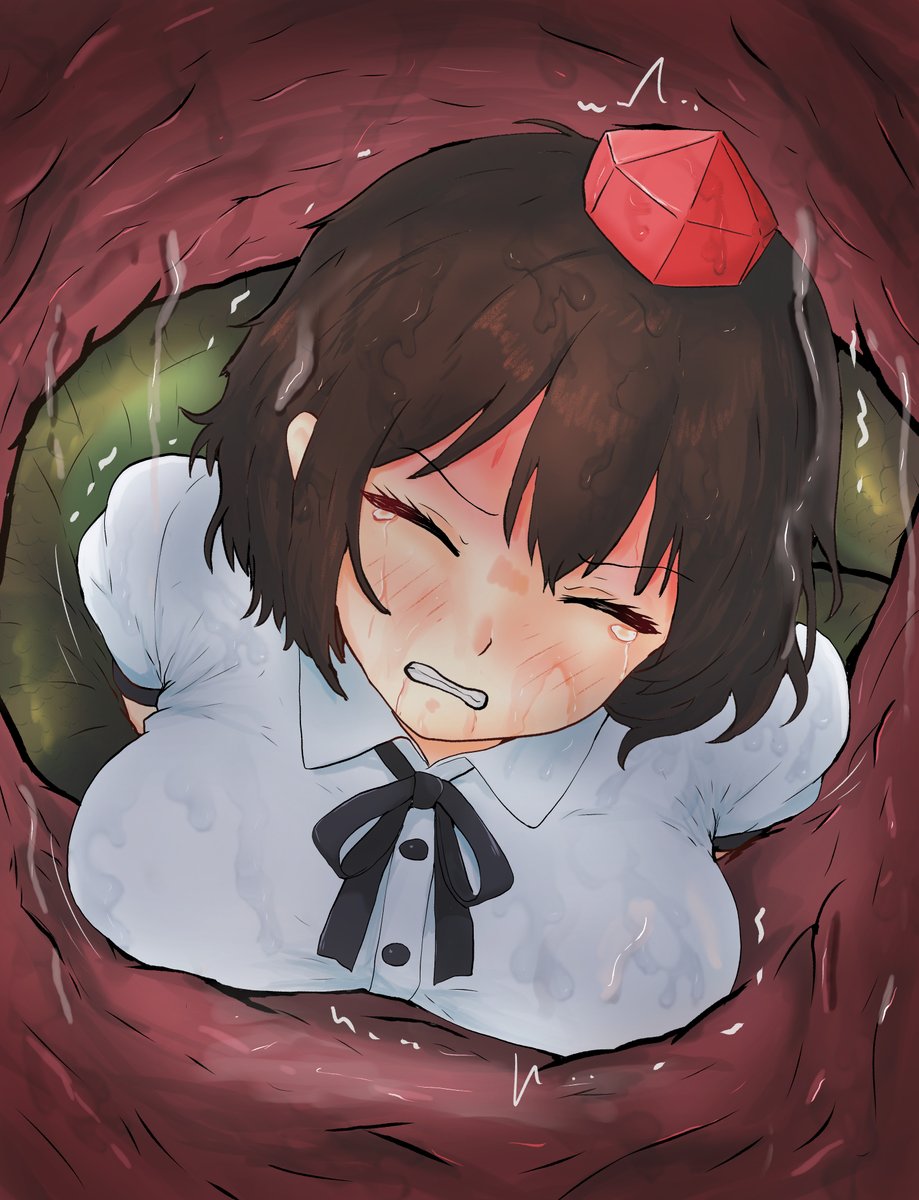 射命丸と大蛇・3 