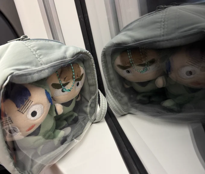 お家帰ろうね