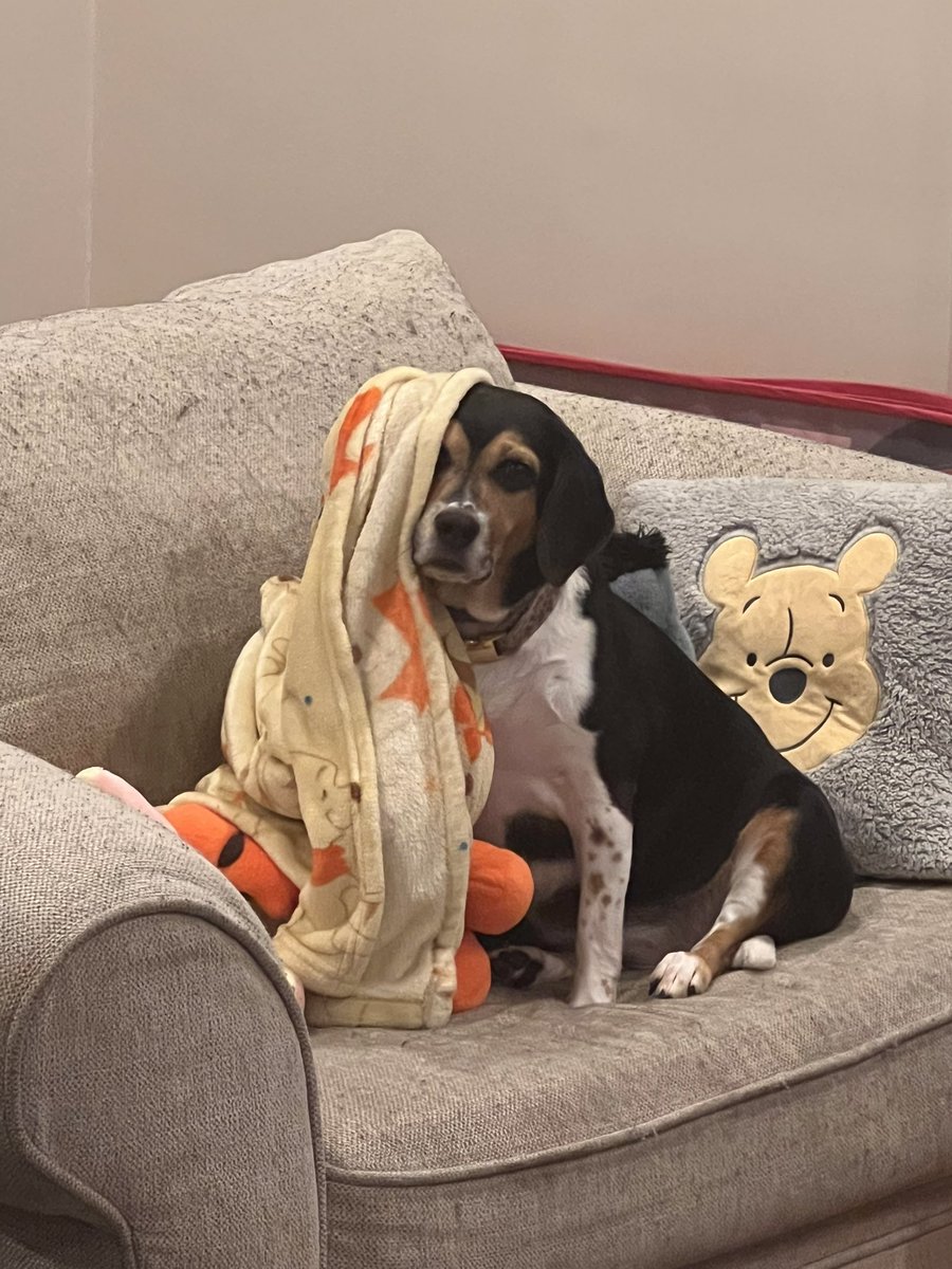 Devin Michael Madara tweet media