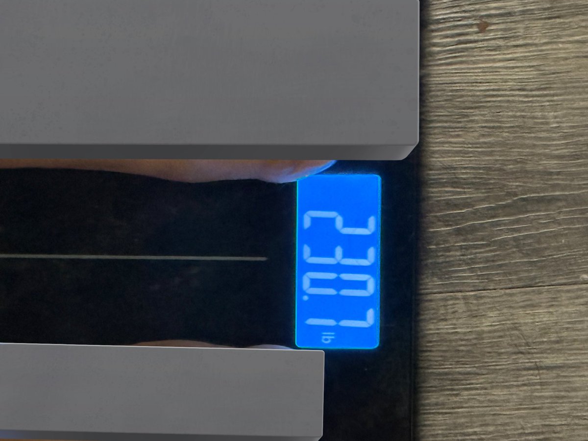 ree 🪲 tweet media