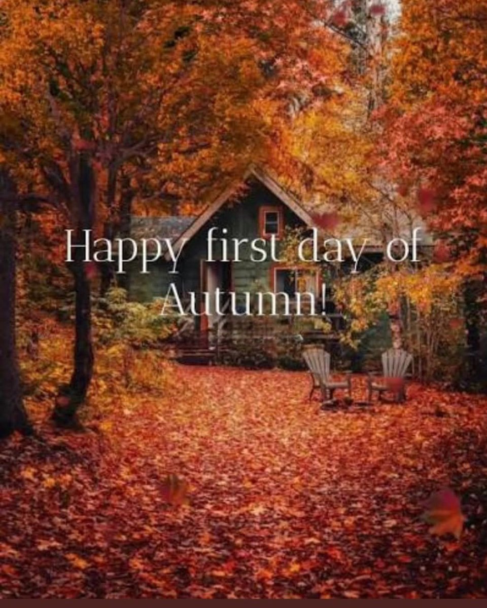 𝑺𝒂𝒏𝒅𝒚 𝑩𝒆𝒄𝒌𝒆𝒓 tweet media