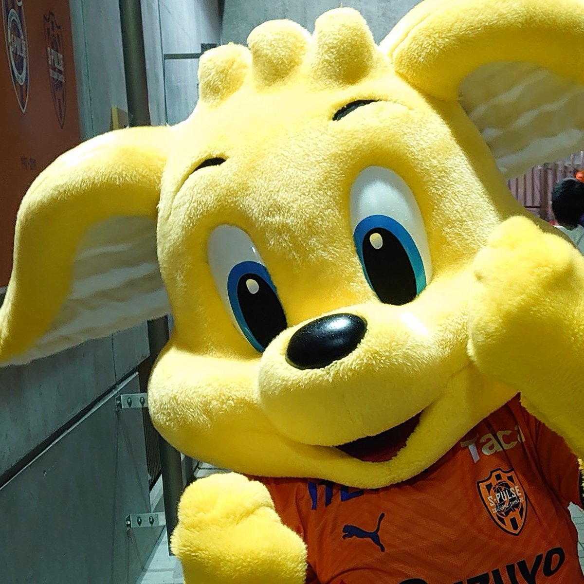 パルちゃん Uncle Pal's Match Report #2 [Tokyo Verdy vs Shimizu S-Pulse