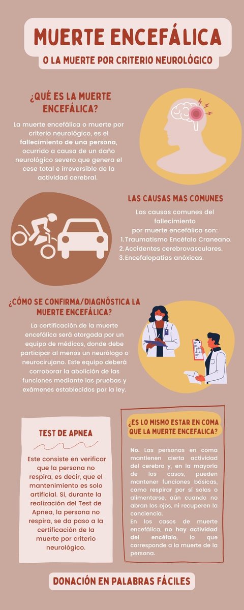 Donación en Palabras Fáciles (@donacion_pf) on Twitter photo 🧠 ¿Sabías que la muerte encefálica es uno de los momentos clave en la donación de órganos? En mi blog analizo qué significa realmente, cómo se determina y por qué es tan importante que lo conozcas.
Lee más aquí
donacionenpalabrasfaciles.blogspot.com/2024/12/hablem…
#SaludPublica #SoyDonante #Chile #Vida 🧠 ¿Sabías que la muerte encefálica es uno de los momentos clave en la donación de órganos? En mi blog analizo qué significa realmente, cómo se determina y por qué es tan importante que lo conozcas.
Lee más aquí
donacionenpalabrasfaciles.blogspot.com/2024/12/hablem…
#SaludPublica #SoyDonante #Chile #Vida
