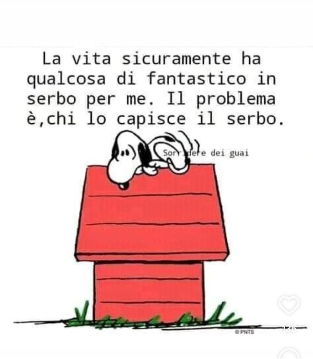 Di google traslate non ci si può fidare dicono....