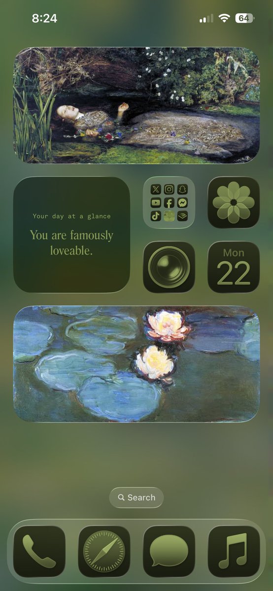 _fairydepressed's tweet photo. And it matches my phone case 🥹💚 https://t.co/rGExxKVXbX