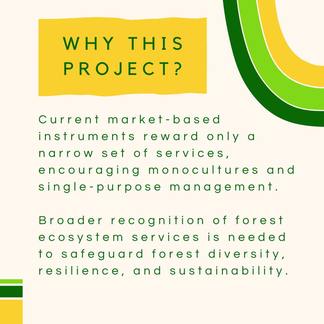 dForNatLan's tweet photo. 💡 Project spotlight 💡

In this new series we shine a spotlight on a research project in which FNL takes part each month! 🔍 Today, we present the @intercede_eu project: InceNtivising future forest eCosystem sErvices anD incomes in Europe. https://t.co/ZkYqJ5iOoP