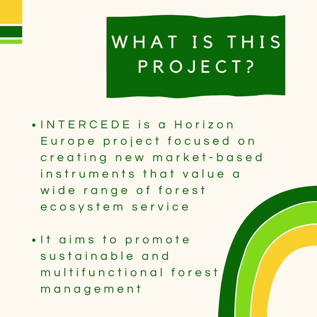 dForNatLan's tweet photo. 💡 Project spotlight 💡

In this new series we shine a spotlight on a research project in which FNL takes part each month! 🔍 Today, we present the @intercede_eu project: InceNtivising future forest eCosystem sErvices anD incomes in Europe. https://t.co/ZkYqJ5iOoP