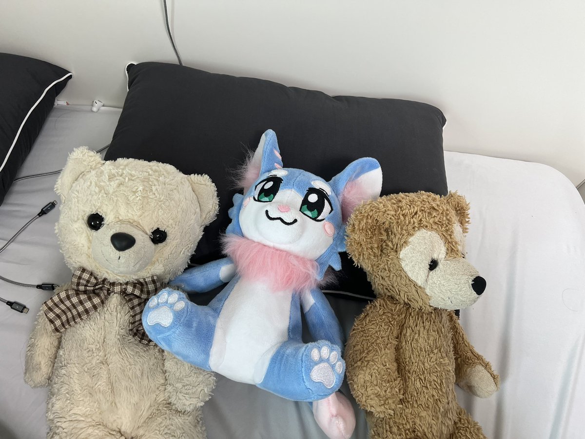 Some plushies in their new homes! 💞