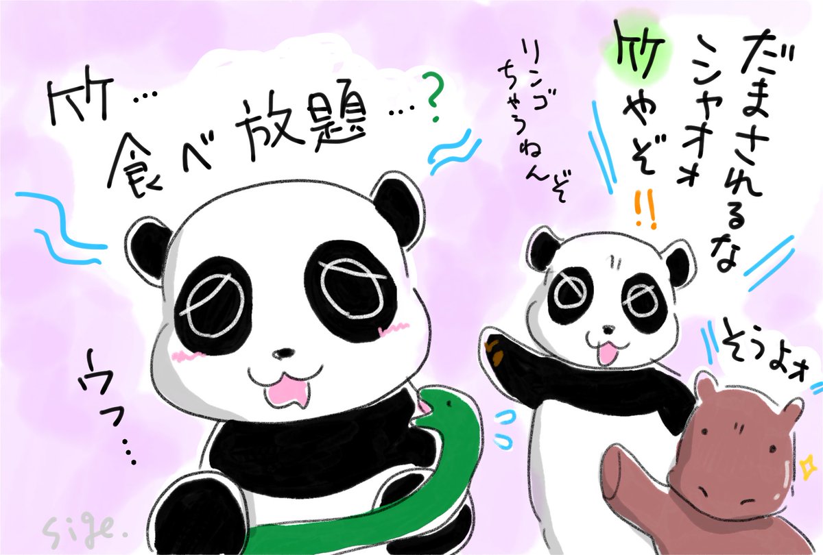 中国からの浜家便りを見た、シャオ坊🐼🐍✨ おやつ食べ放題じゃない