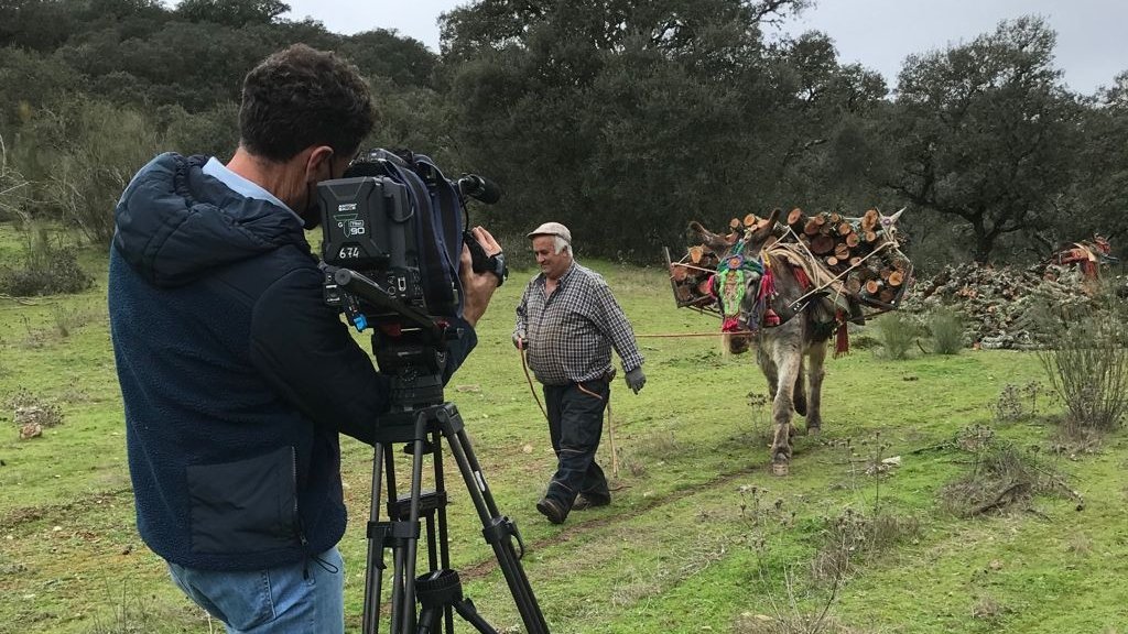 "Tierra y Mar", Premio Nacional de Periodismo Agroalimentario, en la categoría de Innovación,  por ser un referente informativo sobre el sector primario

El galardón se entregará el 1 de octubre en IFEMA

🌐 csur.red/gsMb50X08jJ

🗣️ <a href="/TierrayMarRTVA/">Tierra y Mar</a>

📲 #InfórmateEnCanalSur