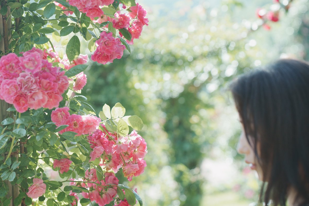 This is la vie en rose

KAZUMIさん（<a href="/kajunoko_model/">kazumi</a>）