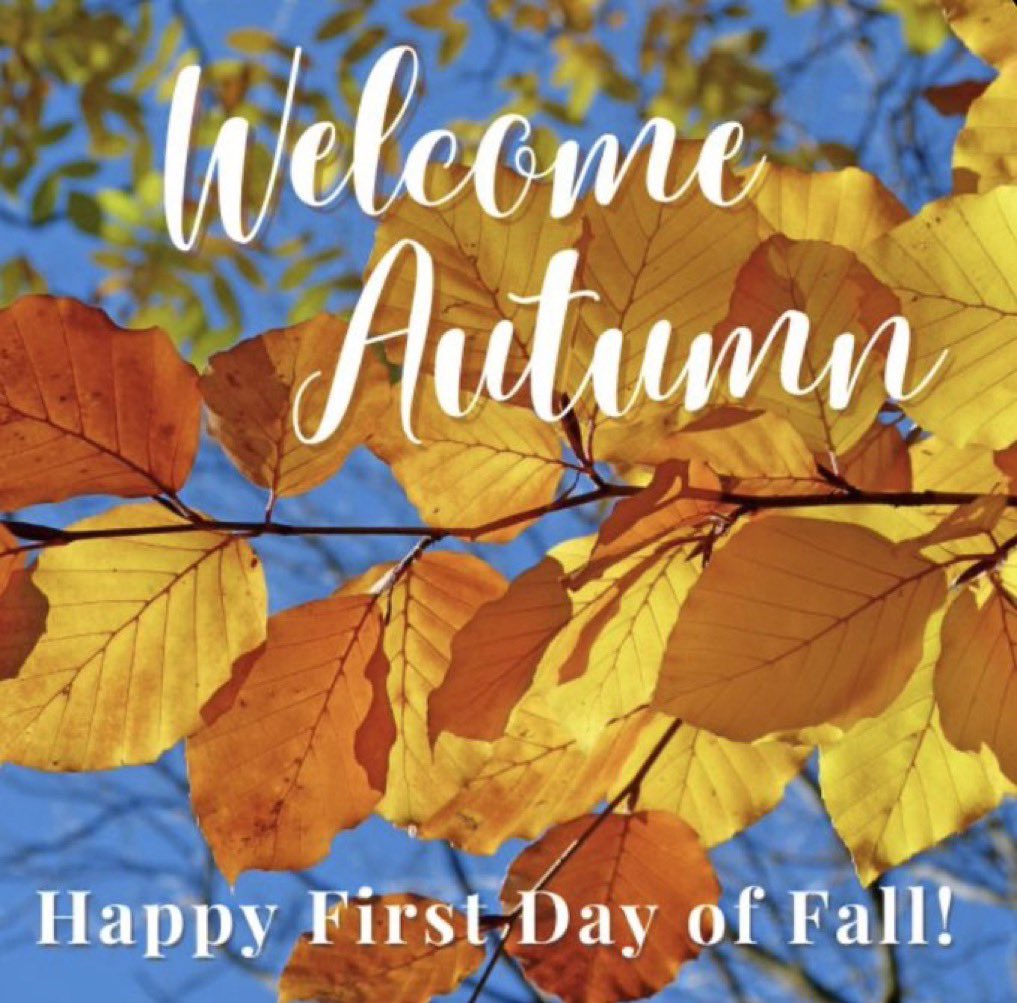 🍂✨ Good Morning &amp; Happy Monday! Today marks the first day of fall—new season, fresh beginnings. 🍁☀️

Wishing you a great start to the week! 💛