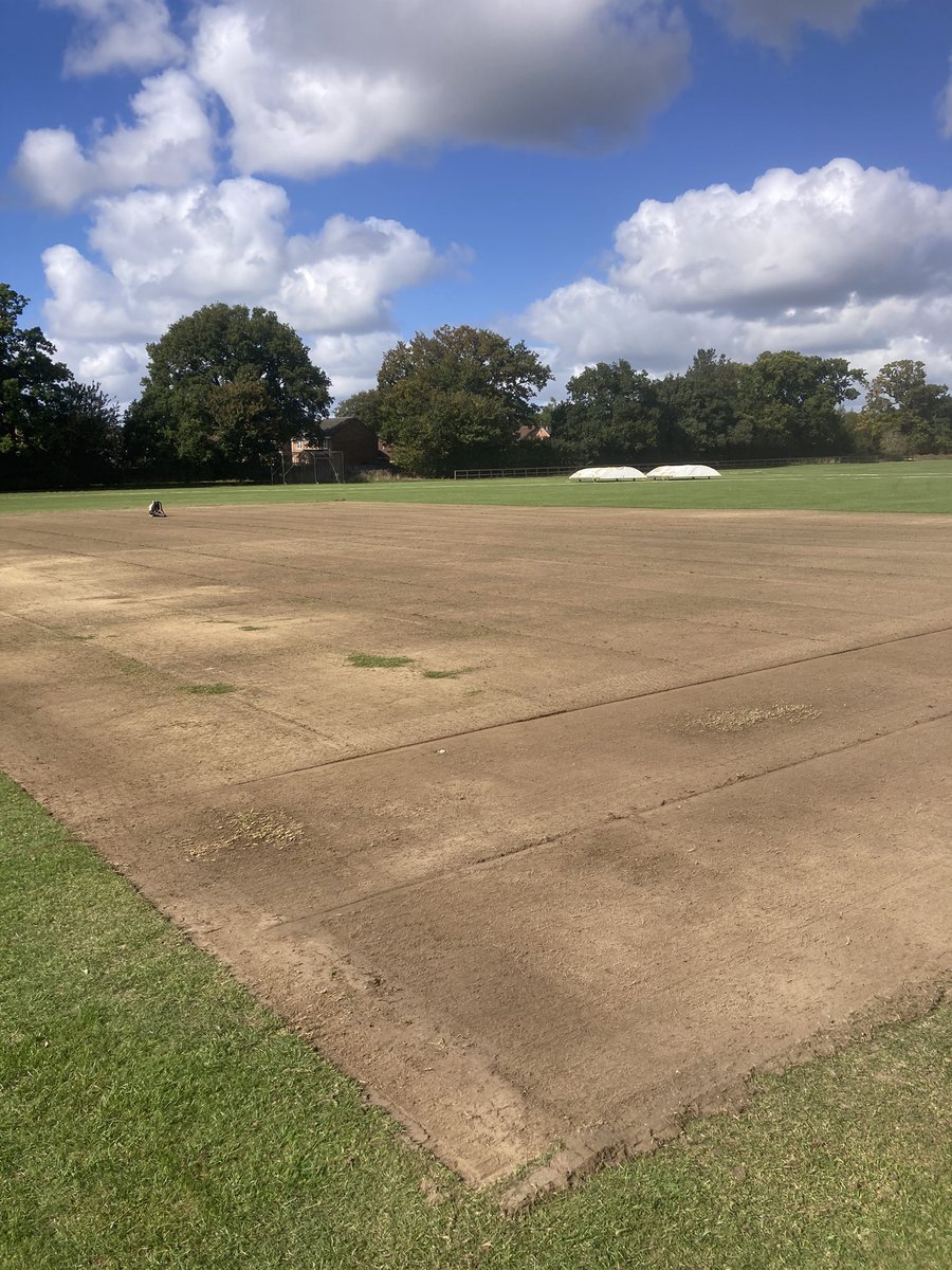 Wickets & Roses tweet media