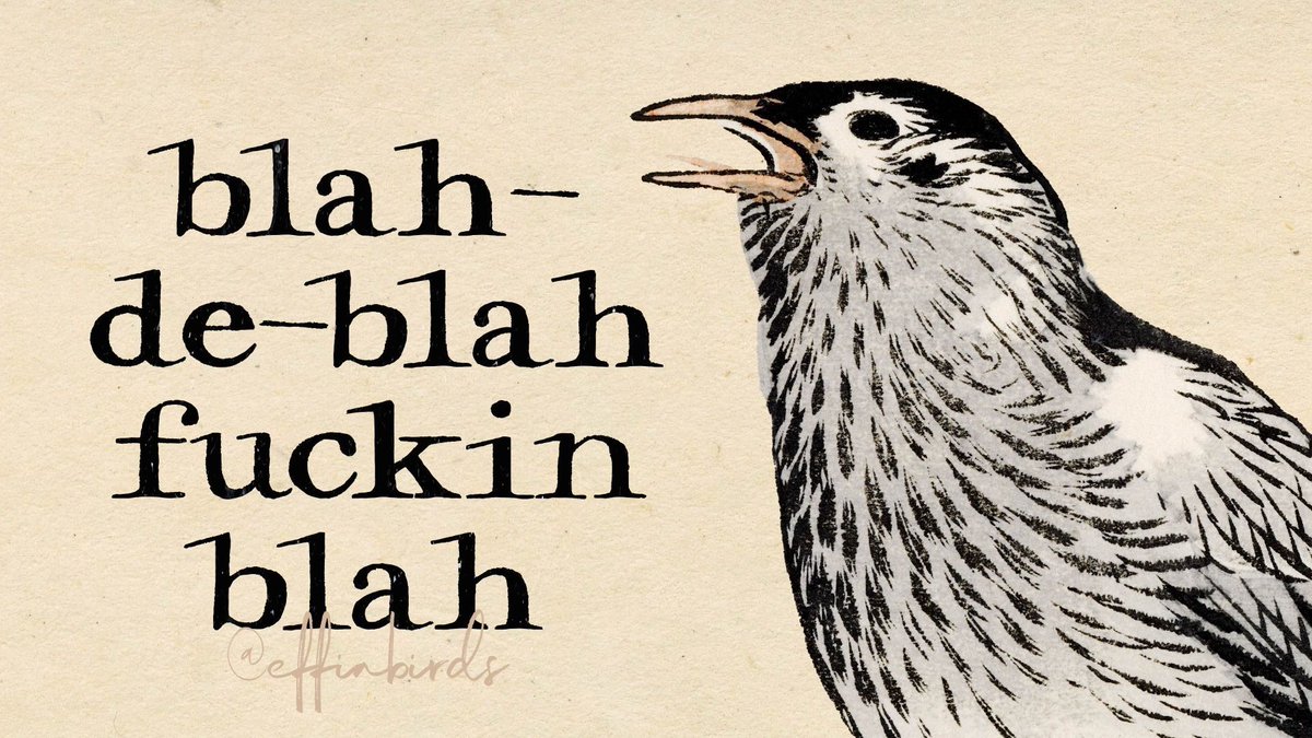 Effin' Birds (@effinbirds) on Twitter photo 