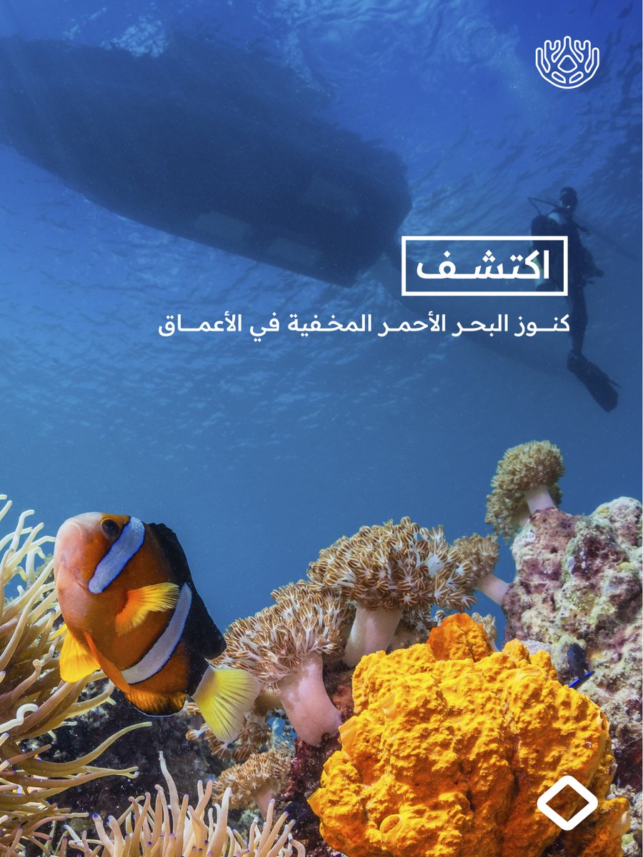 redseaguidesa's tweet photo. 🌊 تجارب غوص تقربك أكثر إلى كنوز البحر الأحمر المخفية

للحجز والاستفسار 
💬:https://t.co/n8s9s885pJ 
📷: info@redseaguide.sa https://t.co/CT4eimDYzB