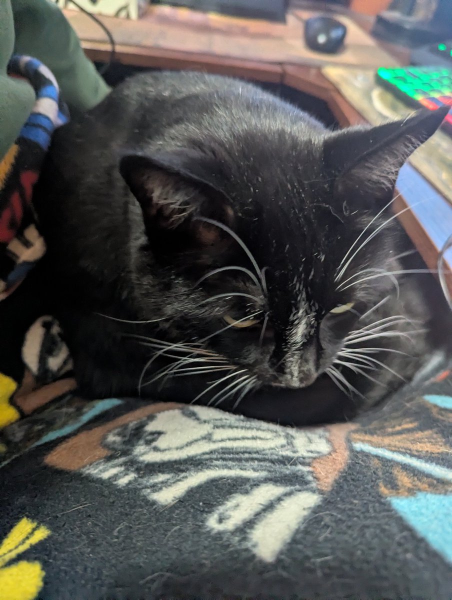 NPS_Midnight l TheCalling tweet media