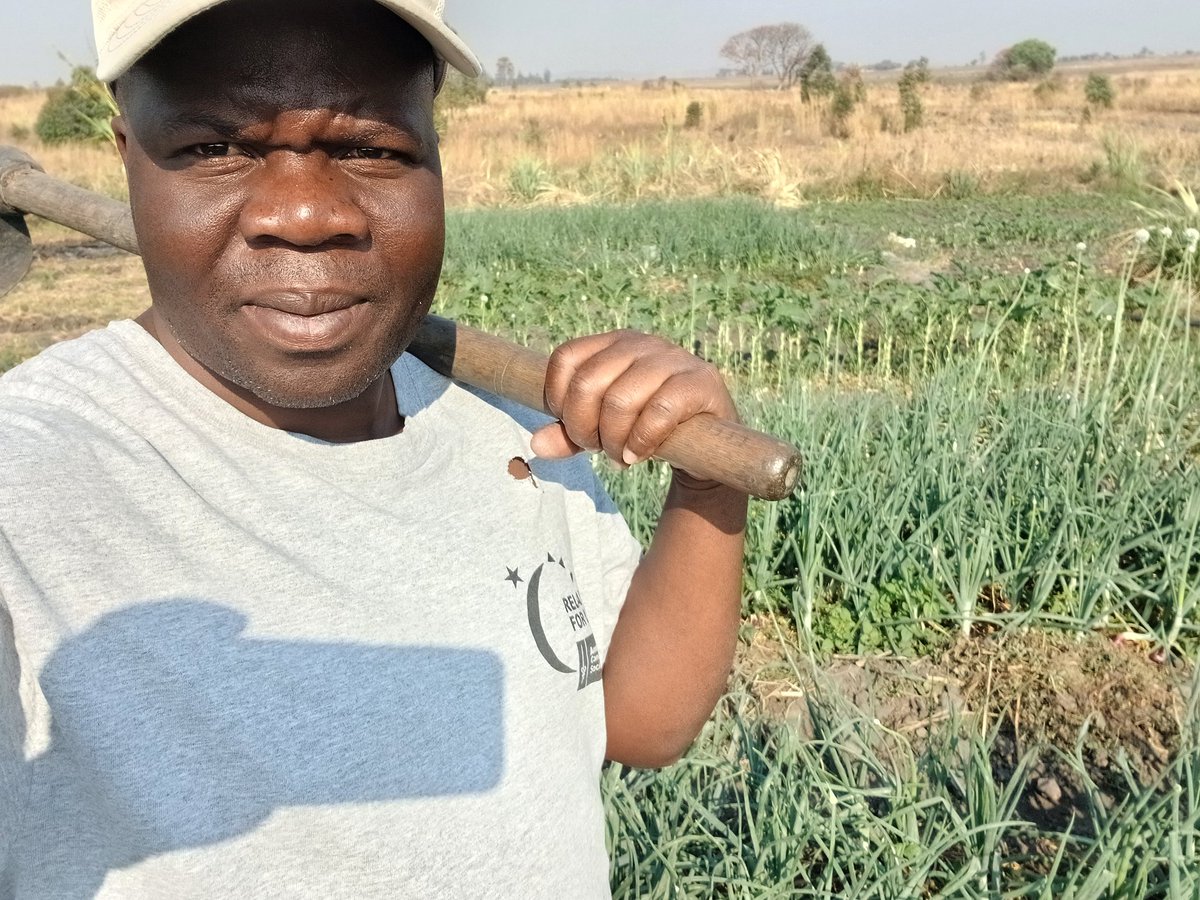 Ngoni Mudoti (@mudotingoni) on Twitter photo I work hard on this piece of land not just for myself, but for my family's future. I won't give up, because their smiles and well-being are my greatest motivation.
<a href="/walterchikanya2/">walter chikanya</a>
<a href="/ChiefSvosve_ZW/">Chief Svosve</a>
<a href="/Kurainashe_Org/">Kurainashe Organization</a>
<a href="/JeftaMugweni/">Jefta Mugweni</a>
<a href="/FACTzim/">FACT Zimbabwe</a>
<a href="/ObertMaminimini/">Obert Maminimini</a> I work hard on this piece of land not just for myself, but for my family's future. I won't give up, because their smiles and well-being are my greatest motivation.
<a href="/walterchikanya2/">walter chikanya</a>
<a href="/ChiefSvosve_ZW/">Chief Svosve</a>
<a href="/Kurainashe_Org/">Kurainashe Organization</a>
<a href="/JeftaMugweni/">Jefta Mugweni</a>
<a href="/FACTzim/">FACT Zimbabwe</a>
<a href="/ObertMaminimini/">Obert Maminimini</a>