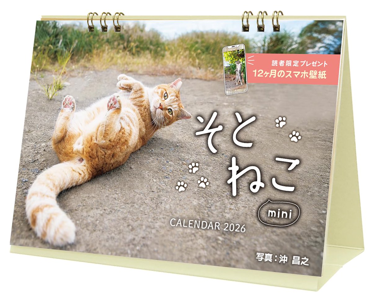 猫❁ゲージ  ☆直接の引き取り希望 Amazon | アクティブコーポレーション 2026 カレンダー 卓上 ぷちねこ