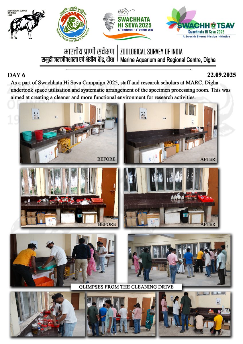 MarineDigha's tweet image. As a part of the Swachhata Hi Seva Campaign 2025, officers, staff members, and research scholars actively participated in the event and undertook space utilization and systematic arrangement of the specimen processing room.   

#SwachhataHiSeva2025