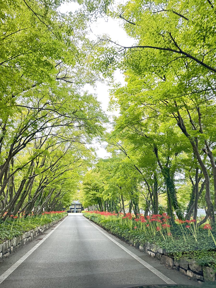 경주 힐튼호텔 진입로는 늘 느낌
좋음
