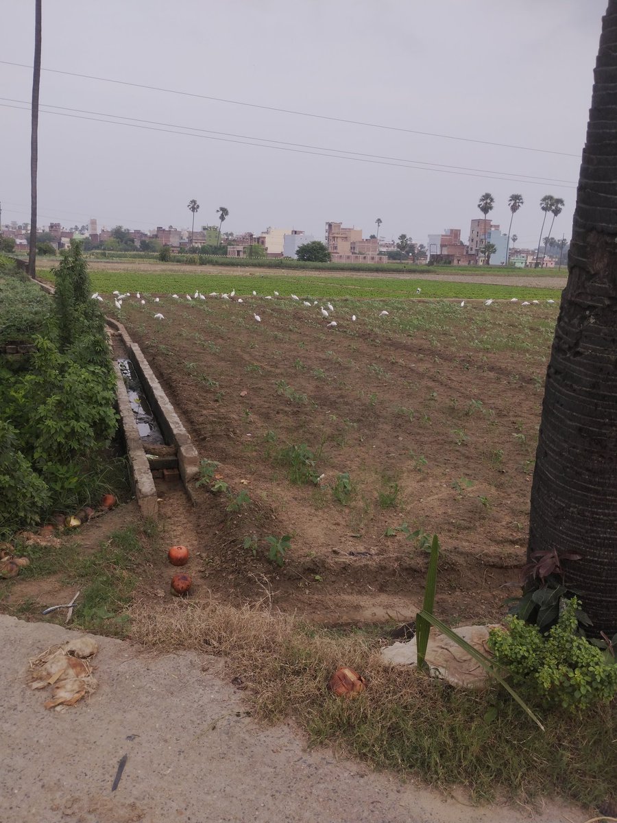 <a href="/Aksdr86/">Dr. A. K. Singh</a> <a href="/krathore918124/">kanku@rathore</a> <a href="/CHAMBAL_BALE/">उत्तम मिश्रा जी ( बीजेपी )</a> <a href="/_mahesh_kaka/">@_mahesh_kaka</a> <a href="/Rishabh73082/">Rishabh</a> <a href="/uljhabalak_/">उलझा बालक</a> <a href="/SuneetBagri/">SuneetBagree</a> <a href="/Ankit_pandey4/">@ImAnkit45</a> <a href="/manoj20876/">Manoj yadav</a> <a href="/Peeyush9112/">PEEYUSH  RASTOGI</a> <a href="/babulalagarwal/">b.agarwal</a> <a href="/JaileshCho42470/">Jailesh Choudhary</a> <a href="/sanjaytiwa39573/">에스</a> <a href="/ParodyChitraahh/">✨ Chitraahh Cosmic Commentary ✨</a> <a href="/Brijesh93553919/">Brijesh Kumar-bjp</a> <a href="/Himansh78814944/">Himanshu Singh</a>